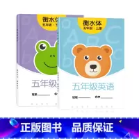五年级衡水体英语字帖上下册 [正版]五年级衡水体英语字帖上册下册人教版同步练字帖英文字母单字练字本小学生字体练习簿硬笔书