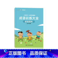 成语训练大全 [正版]成语练习叠词量词训练大全aabbabab词语习字本积累大全训练人教版小学通用儿童写字本练字本贴正楷