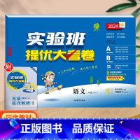 语文(人教版)。 一年级下 [正版]实验班提优大考卷一年级二年级三四五六年级上册语文数学英语人教版北师大苏教下册期中期末