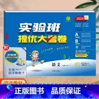 语文(人教版)。 一年级下 [正版]实验班提优大考卷一年级二年级三四五六年级上册语文数学英语人教版北师大苏教下册期中期末