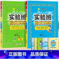 语文+数学[苏教版]。 五年级上 [正版]2024春新版实验班提优训练一年级上册二年级下册三年级四五六语文数学英语全套书