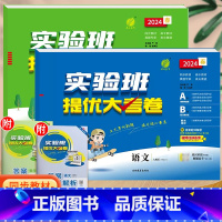 语文+数学(人教版)。 一年级下 [正版]实验班提优大考卷一年级二年级三四五六年级上册语文数学英语人教版北师大苏教下册期