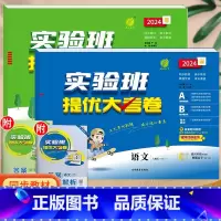 语文+数学(人教版)。 一年级上 [正版]实验班提优大考卷一年级二年级三四五六年级上册语文数学英语人教版北师大苏教下册期