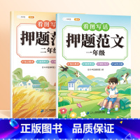 [一二年级2本]看图写话押题范文 小学通用 [正版]斗半匠 看图写话押题范文一年级二年级专项训练注音版看图填空素材积累范