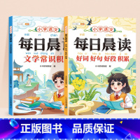 [全2册]好词好句好段+文学常识 小学通用 [正版]小学生好词好句好段大全小学语文作文素材优美句子积累大全一年级二年级四