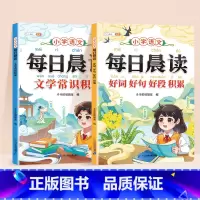 [全2册]好词好句好段+文学常识 小学通用 [正版]小学生好词好句好段大全小学语文作文素材优美句子积累大全一年级二年级四