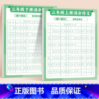 [3年级]满分练字帖上册+下册 [正版]满分作文练字贴小学生字帖每日一练三年级四五六年级上册下册语文同步专项训练练习簿好