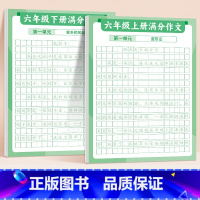 [6年级]满分练字帖上册+下册 [正版]满分作文练字贴小学生字帖每日一练三年级四五六年级上册下册语文同步专项训练练习簿好