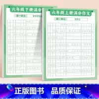 [6年级]满分练字帖上册+下册 [正版]满分作文练字贴小学生字帖每日一练三年级四五六年级上册下册语文同步专项训练练习簿好