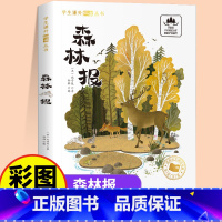 [彩图注音版]森林报 [正版]国际获奖小说注音版全套20册10册一年级阅读课外书必读二年级三年级课外阅读书籍大奖儿童文学