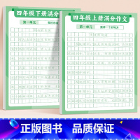[4年级]满分练字帖上册+下册 [正版]满分作文练字贴小学生字帖每日一练三年级四五六年级上册下册语文同步专项训练练习簿好