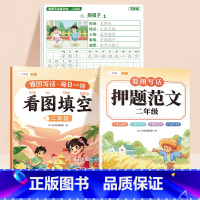 [二年级3本]范文+填空+练字帖 小学通用 [正版]斗半匠 看图写话押题范文一年级二年级专项训练注音版看图填空素材积累范