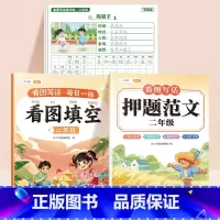 [二年级3本]范文+填空+练字帖 小学通用 [正版]斗半匠 看图写话押题范文一年级二年级专项训练注音版看图填空素材积累范
