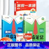 寒假一本通[苏教版]+学霸笔记语数下册[苏教版] 小学四年级 [正版]乐读寒假一本通预复习小学一年级二年级寒假衔接作业三