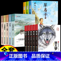 [全套13册]狼王梦+草房子+曹文轩画册 [正版]狼王梦沈石溪全套5册动物小说全集画本小学生三年级四五六年级课外阅读书籍