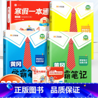 寒假一本通[人教版]+学霸笔记语数英下册[人教版] 小学四年级 [正版]乐读寒假一本通预复习小学一年级二年级寒假衔接作业