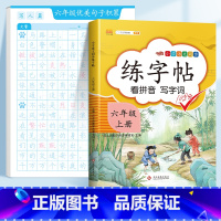 ❤️[六年级]优美句子字帖+六上同步字帖 [正版]优美句子积累字帖大全小学生练字帖每日一练好词好句好段正楷三四年级上册6