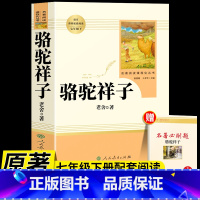 [人教版]骆驼祥子 [正版]人教版骆驼祥子和海底两万里原著人民教育出版社老舍七年级下册必读名著课外书初中生版语文配套完整