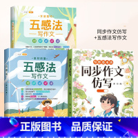 [仿写+五感法技巧]同步作文仿写+五感法写作文 三年级下 [正版]新版同步作文仿写句子专项训练小学语文三年级四年级五六年
