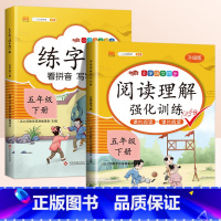 [2本]同步练字帖✚阅读理解 五年级下 [正版]2024新版 五年级下册字帖 小学生同步练字帖练字每日一练人教版语文生字