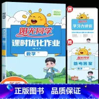 数学(人教版) 六年级下 [正版]2024新版课时优化作业一年级二年级三四五六年级上册下册语文数学英语人教版小学语数同步