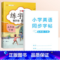 语文练字帖✚英语同步练字帖 五年级下 [正版]2024新版 五年级下册字帖 小学生同步练字帖练字每日一练人教版语文生字写