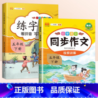 [2本]同步练字帖✚同步作文 五年级下 [正版]2024新版 五年级下册字帖 小学生同步练字帖练字每日一练人教版语文生字