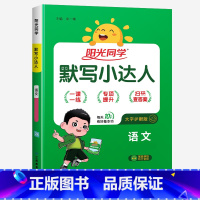 默写小达人★语文(人教版) 二年级上 [正版]2024新版阳光同学计算小达人一年级二年级三年级下册四五六年级上册语文数学