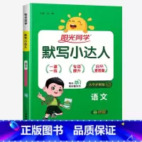 默写小达人★语文(人教版) 二年级上 [正版]2024新版阳光同学计算小达人一年级二年级三年级下册四五六年级上册语文数学
