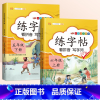 [承上启下]同步练字帖5下✚6上 五年级下 [正版]2024新版 五年级下册字帖 小学生同步练字帖练字每日一练人教版语文