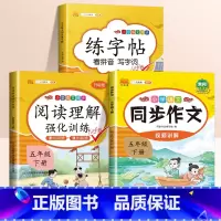 [3本]同步练字帖✚阅读理解✚同步作文 五年级下 [正版]2024新版 五年级下册字帖 小学生同步练字帖练字每日一练人教
