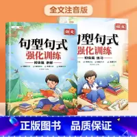 [1-2年级]初级句式训练 讲解+练习 小学通用 [正版]斗半匠句型句式强化训练大全小学语文一二三年级句子专项训练练习四