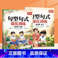 [5-6年级]高级句式训练 讲解+练习 小学通用 [正版]斗半匠句型句式强化训练大全小学语文一二三年级句子专项训练练习四