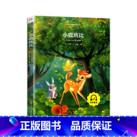 [彩绘版]小鹿斑比 [正版]三毛流浪记全集彩图注音版张乐平小学生一年级二年级三年级儿童文学绘本漫画版看图讲故事幼儿图画书