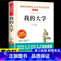 [附带考试重点]我的大学 [正版]汤姆索亚历险记 马克吐温原着必读六年级下册课外书的经典书目快乐读书吧阅读书籍汤姆.索亚