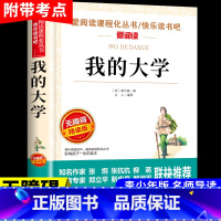 我的大学 [正版]童年书高尔基原著完整版 六年级上册课外书必读的书目 快乐读书吧阅读书籍 爱的教育小英雄雨来适合6上看的