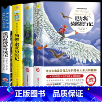 [全套4册]尼尔斯+爱丽丝+鲁滨逊+汤姆 [正版]尼尔斯骑鹅旅行记原著完整版六年级下册课外书必读的经典书目快乐读书吧6下