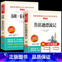 [全2册]鲁滨逊漂流记+汤姆索亚历险记 [正版]全套4册 鲁滨逊漂流记原着完整版六年级下册必读书目快乐读书吧课外书爱丽丝