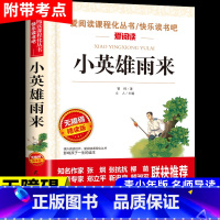 [无障碍阅读]小英雄雨来 [正版]大林和小林张天翼 小学生三年级四年级五年级上册下册阅读课外书必读的书籍 老师儿童文学全