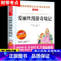 爱丽丝漫游奇境记 [正版]小英雄雨来管桦着 四年级下册阅读课外书必读的书目快乐读书吧三至六年级上册书籍小学人民老师教育出