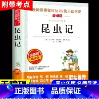 [无障碍阅读]昆虫记 [正版]大林和小林张天翼 小学生三年级四年级五年级上册下册阅读课外书必读的书籍 老师儿童文学全集宝