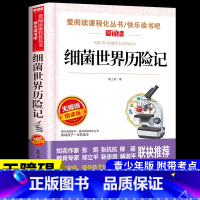 细菌世界历险记 [正版]小英雄雨来管桦着 四年级下册阅读课外书必读的书目快乐读书吧三至六年级上册书籍小学人民老师教育出版