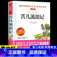 [附带考试重点]苦儿流浪记 [正版]汤姆索亚历险记 马克吐温原着必读六年级下册课外书的经典书目快乐读书吧阅读书籍汤姆.索