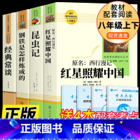 [人教版4册]八年级上下册必读正版 送考试重点 [正版]人教版 昆虫记法布尔原着完整版无删减 人民教育出版社八年级上册课