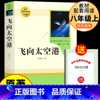 [人教版]飞向太空港 送考试重点 [正版]人教版 昆虫记法布尔原着完整版无删减 人民教育出版社八年级上册课外书必读的名著