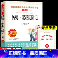 [单册]汤姆索亚历险记 送考试重点 [正版]全套4册 鲁滨逊漂流记原着完整版六年级下册必读书目快乐读书吧课外书爱丽丝漫游