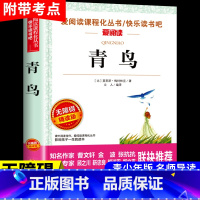 青鸟 [正版]昆虫记法布尔原着完整版全集 适合小学生三年级四年级上册下册阅读课外书必读的八年级名著全套上 下学期书目幼儿