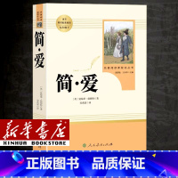 [单本]九年级下/简·爱 [正版]人教版初中国一下册八年级下册九年级下册初中课外阅读书籍骆驼祥子海底两万里经典常谈钢铁是