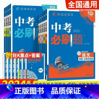 [套装三本]语文+数学+英语 全国通用 [正版]2024版中考合订本语文数学英语物理化学生物地理道德与法治历史九年级上下