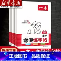寒假练字帖 小学三年级 [正版]2024新版寒假练字帖 小学语文寒假阅读字帖 一二三四五六年级上下册练字帖语文寒假作业练